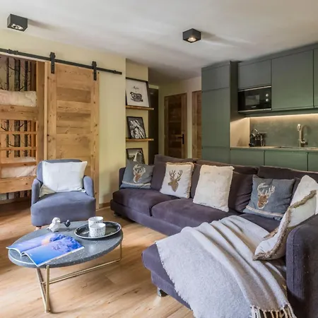 Διαμέρισμα Stunning Flat With Mont Blanc's View And Balconies Σαμονί